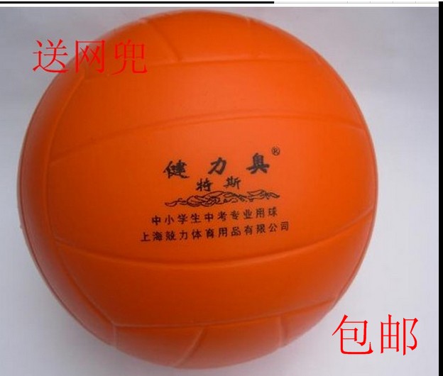 Ballon de volley - Ref 2010508 Image 1