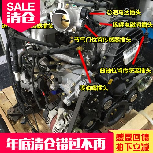 派力奥西耶那周末风线束插头