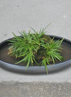 景德镇正品陶瓷假山盆盆景盆栽