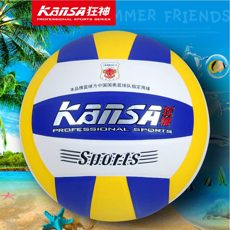 Ballon de volley - Ref 2015863 Image 1