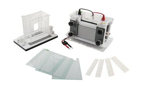 JY-SCZ8型 垂直电泳槽 北京君意东方 包邮