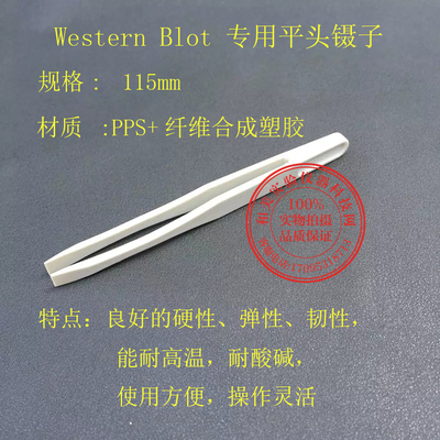 免疫组化western blot专用镊子 WB孵育盒镊子荧光实验专用镊子