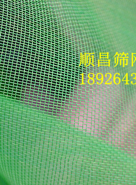 耐锈蚀/易清洗无异味 白色绿色聚乙烯尼龙网20目/防蚊虫网/纱窗网