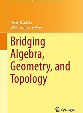 【预售】Bridging Algebra, Geometry, and Topology