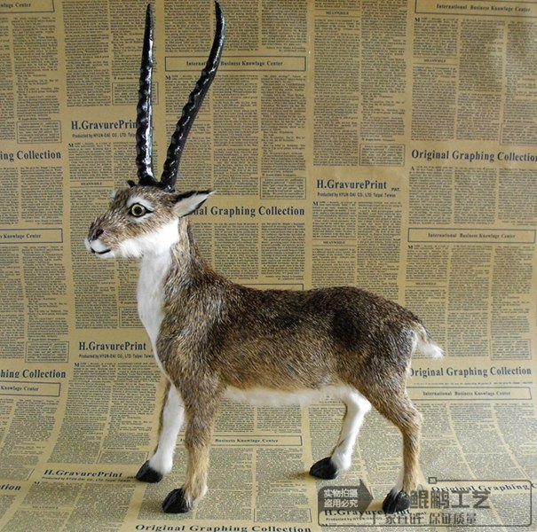 仿真藏羚羊家居摆件动物模型装饰品摆设创意工艺礼品宠物公仔山羊|msdalam kategori Aksesori rumah, hiasan - dari Buy2taobao.com untuk memberikan perkhidmatan ejen Taobao profesional membeli