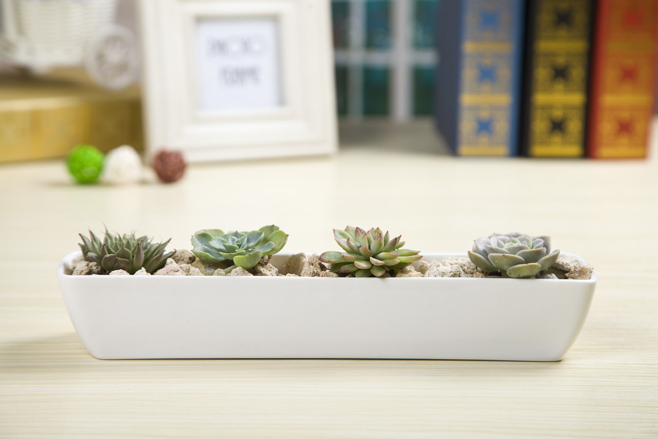 韩国简约船型花盘创意迷你多肉控型盆陶瓷桌面长方形长条盆栽花盆,鲜花速递/花卉仿真/绿植园艺,花盆,淘宝优惠券,粉丝福利购,淘宝优惠卷