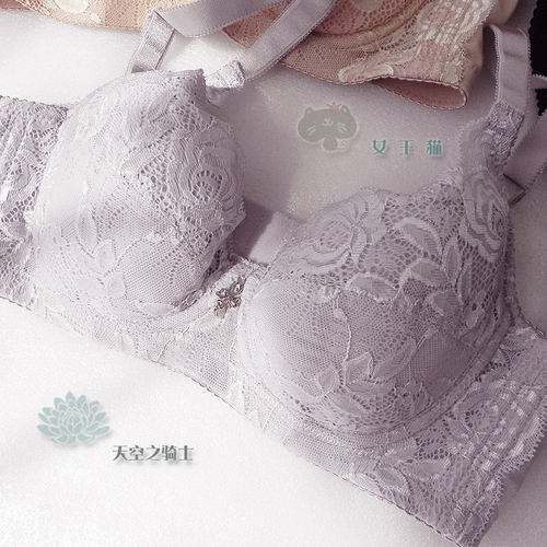 夏天的味道 精致绣花无海绵调整型收副乳薄款文胸75B80B85B90B - 封面