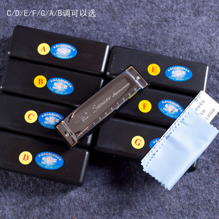 10孔布鲁斯口琴乐器学生初学专业正品天鹅C调D调F调E调F调G调特价