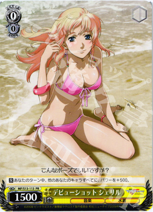 超时空要塞黑白双翼