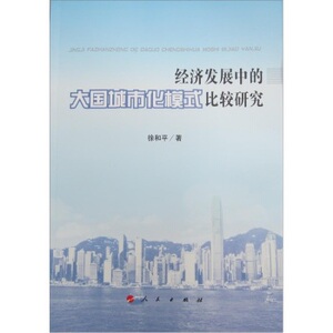 【S人民出版社】经济发展中的大国城市化模式比较研究