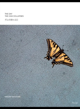 【预售】Hiroshi Watanabe: The Day the Dam Collapses