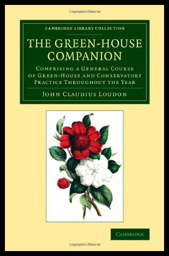 美国库房发货，通常付款后5-8周到货！