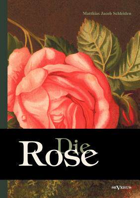 【预售】Die Rose: Geschichte Und Symbolik in...