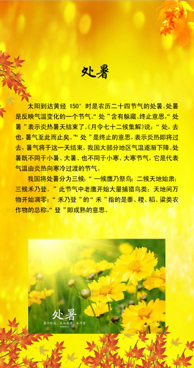 757海报印制展板写真喷绘389二十四24节气秋季处暑