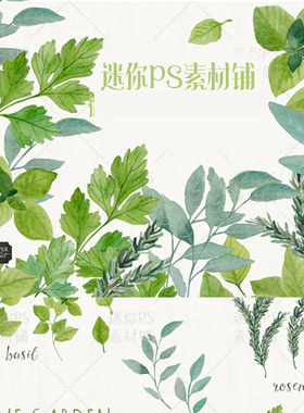 80号唯美清新森系春天绿色树叶香草手绘水彩PNG免抠PS设计素材