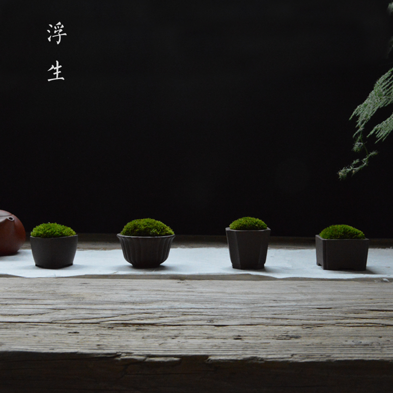 【浮生时光】苔藓植物盆景 创意生态瓶微景观 绿植盆栽 茶盘摆件|msdalam kategori penghantaran bunga/bunga simulasi/tumbuhan berkebun, Plants Mini kreatif - dari Buy2taobao.com untuk memberikan perkhidmatan ejen Taobao profesional membeli