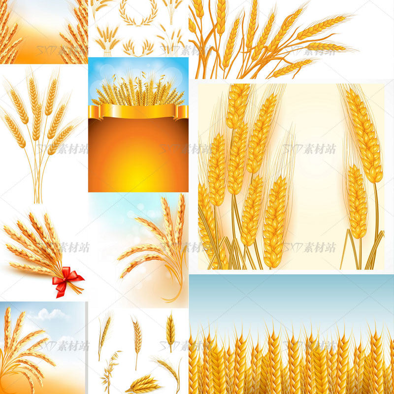 黄金小麦麦穗稻穗稻谷植物图标logo矢量图设计素材 eps格式