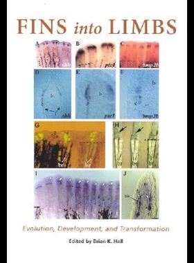 【预售】Fins Into Limbs: Evolution, Development, and Tr