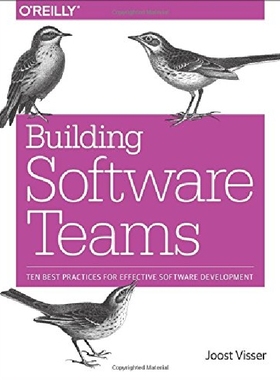 【预订】Building Software Teams: Ten Best Pr...