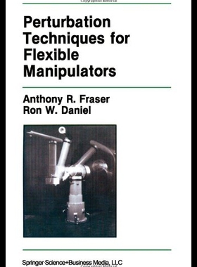 【预售】Perturbation Techniques for Flexible M