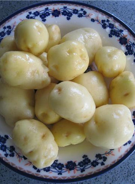 新鲜现货现挖摘当年新鲜小土豆马铃薯洋芋新鲜绿色蔬菜自种