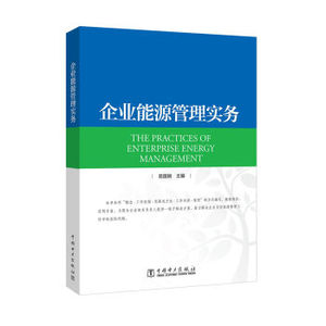 企业能源管理实务