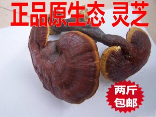 中药材  整个灵芝 林芝500克28元 灵芝草 灵芝片全店任意两件包邮