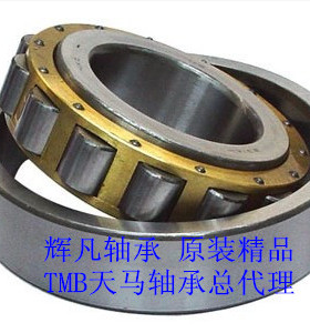 TMB轴承 N204 N205 N206 N207 N208 N209EM  圆柱滚子轴承