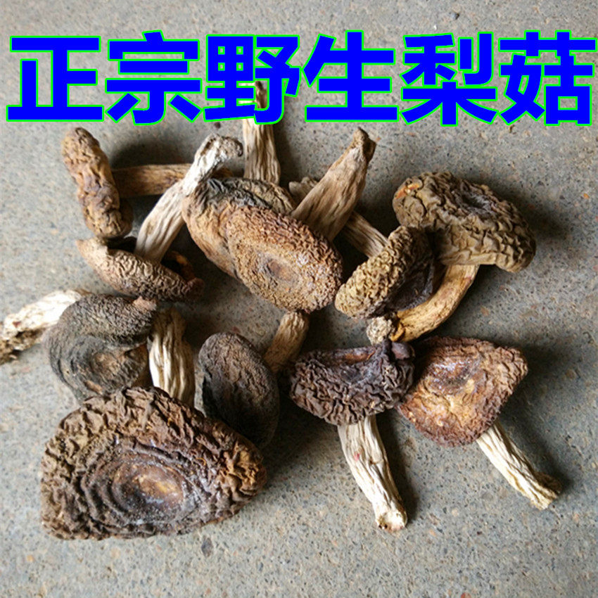 建宁农家杂菇野生梨菇泥菇蘑菇干货食用菌250克包邮
