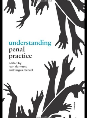 【预售】Understanding Penal Practice