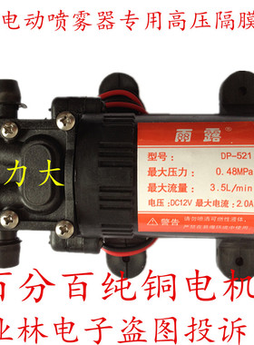 12V微型水泵 隔膜水泵 洗车高压泵 电动喷雾器泵  高压力 包邮