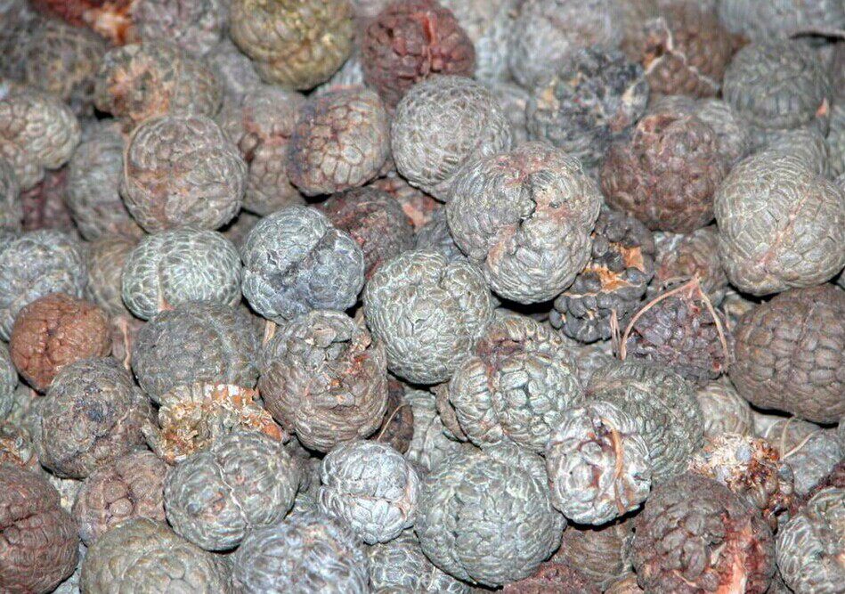肉豆蔻 肉扣 肉果 玉果 肉寇 火锅卤菜佳品 肉蔻500克