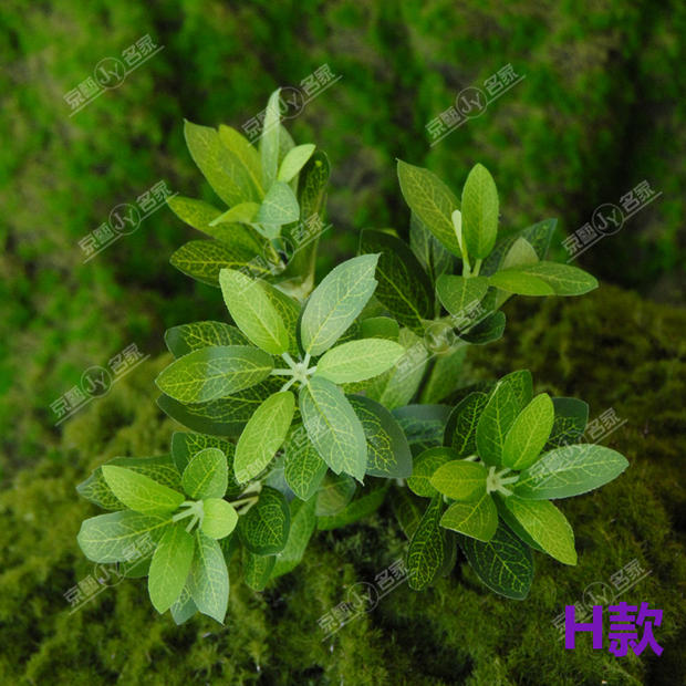 仿真绿植 仿真叶罗汉草 辣椒叶仿真植物 植物墙装饰工程绿植