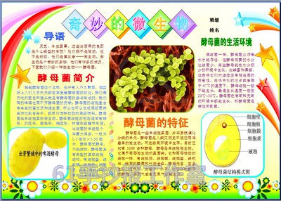 奇妙的微生物电子小报成品科学电脑手抄报科技知识板报模板5160