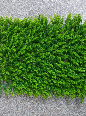 仿真植物墙绿植装饰尤加利室内