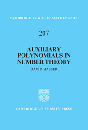 【预订】Auxiliary Polynomials in Number Theory