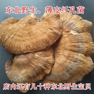 薄皮毛背菌 250g 薄皮菌长白山野生真菌 包邮 稀针孔菌 薄皮纤孔菌