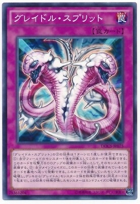 【假面卡牌】游戏王 N平卡 灰篮分裂 906 DOCS 日版
