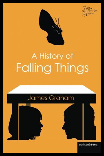 【预售】A History of Falling Things