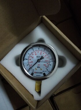 压力表进口DMASS德玛仕EN837-1德国MBB06B-10-1 63表面径向1MPA