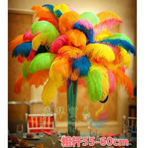 55至60cm粗杆宽毛鸵鸟羽毛 狂欢节桑巴舞婚庆路引桌花DIY饰品配件