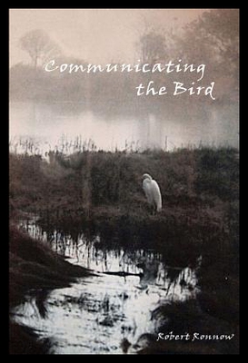 【预售】Communicating the Bird