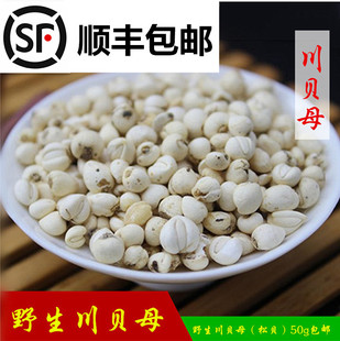 四川正品川贝母中药材川贝松贝川北柠檬枇杷50g包邮