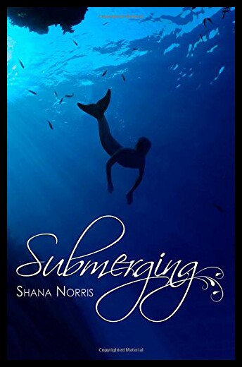 【预售】Submerging