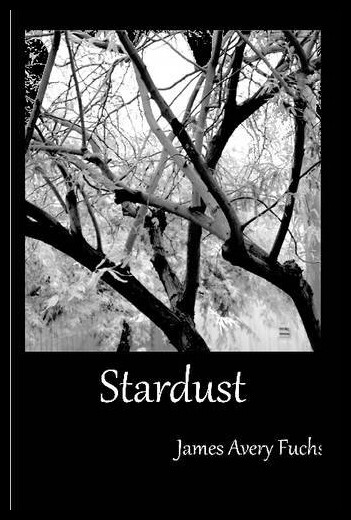 【预售】Stardust