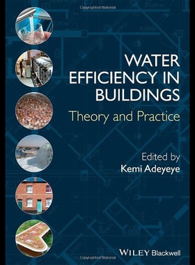 【预售】Water Efficiency in Buildings: Theory and Practic