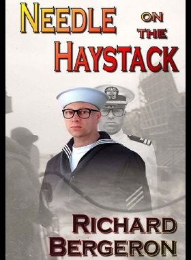 【预售】Needle on the Haystack