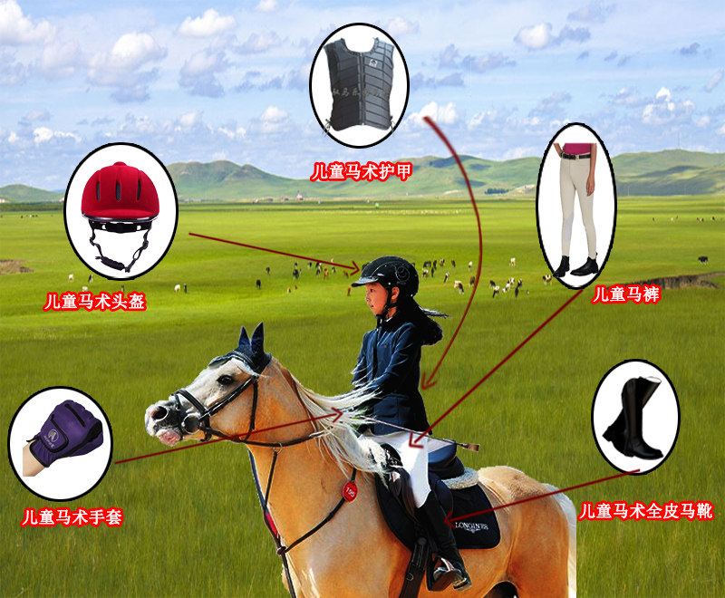 Article sports equestres HORSY - Ref 1387359 Image 1