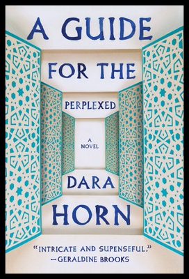 【预售】A Guide for the Perplexed