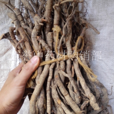 十八症 十八症根 歪叶子兰根 大肠风根  500克